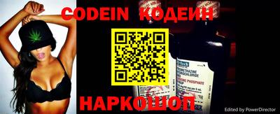 кокс Гатчина