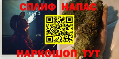 кокс Гатчина