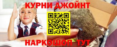 спайс Гай