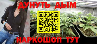 спайс Гай