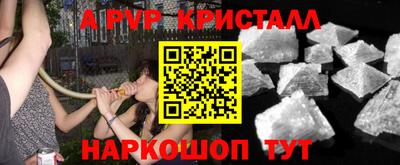 спайс Гай
