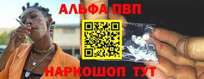 кокс Гатчина