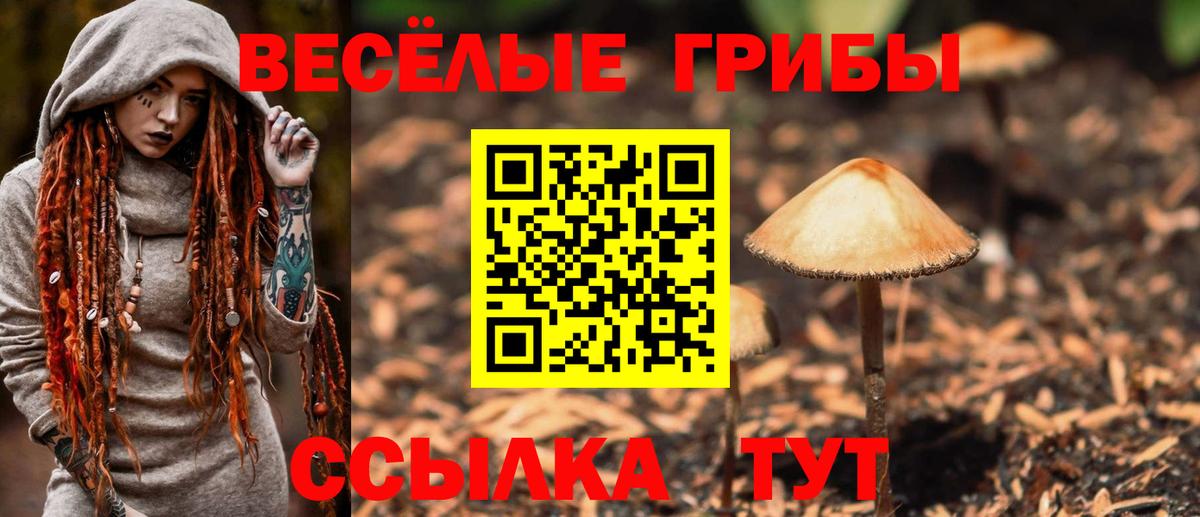 Галлюциногенные грибы Magic Shrooms Новомосковск