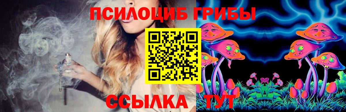 Новомосковск  Галлюциногенные грибы MAGIC MUSHROOMS  Вход с VPN 